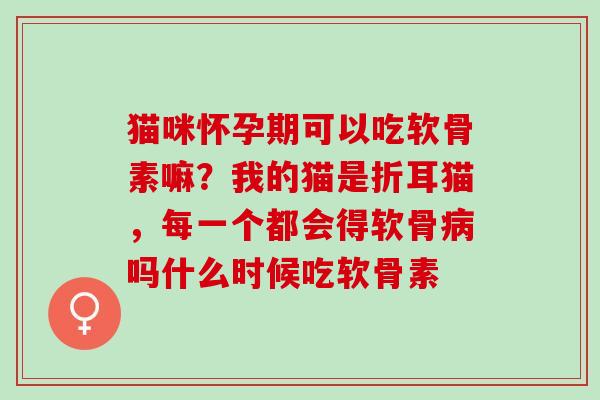 猫咪怀孕期可以吃软骨素嘛？我的猫是折耳猫，每一个都会得软骨病吗什么时候吃软骨素