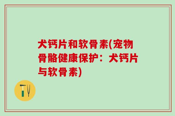 犬钙片和软骨素(宠物骨骼健康保护：犬钙片与软骨素)