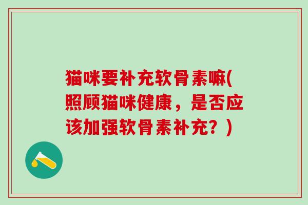 猫咪要补充软骨素嘛(照顾猫咪健康，是否应该加强软骨素补充？)