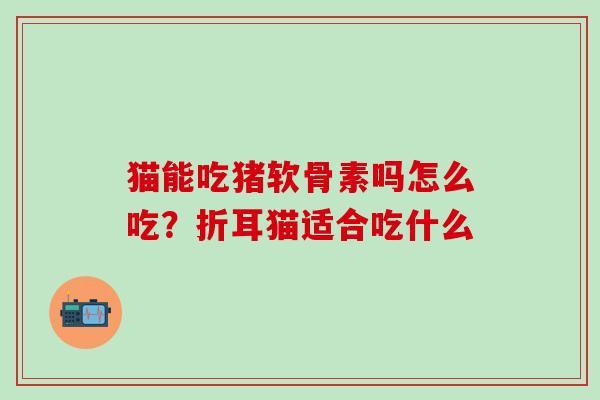 猫能吃猪软骨素吗怎么吃？折耳猫适合吃什么
