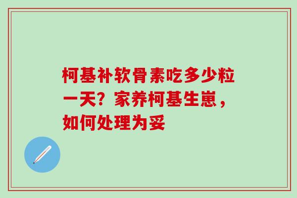 柯基补软骨素吃多少粒一天？家养柯基生崽，如何处理为妥