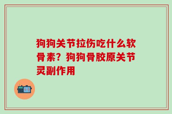 狗狗关节拉伤吃什么软骨素？狗狗骨胶原关节灵副作用