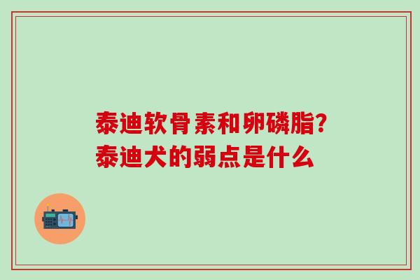 泰迪软骨素和卵磷脂？泰迪犬的弱点是什么