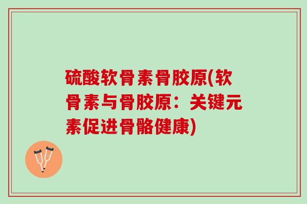 硫酸软骨素骨胶原(软骨素与骨胶原：关键元素促进骨骼健康)