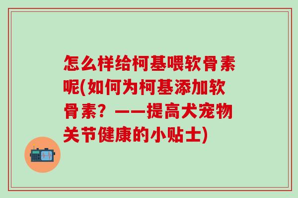 怎么样给柯基喂软骨素呢(如何为柯基添加软骨素？——提高犬宠物关节健康的小贴士)