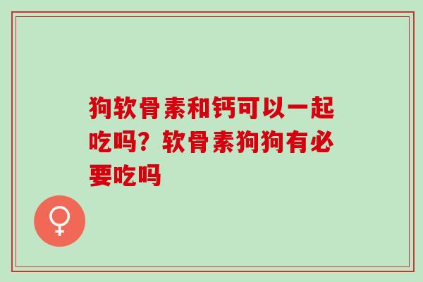 狗软骨素和钙可以一起吃吗？软骨素狗狗有必要吃吗
