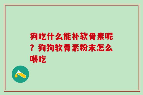 狗吃什么能补软骨素呢？狗狗软骨素粉末怎么喂吃