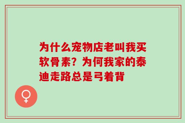 为什么宠物店老叫我买软骨素？为何我家的泰迪走路总是弓着背