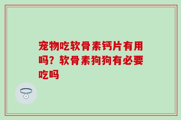 宠物吃软骨素钙片有用吗？软骨素狗狗有必要吃吗