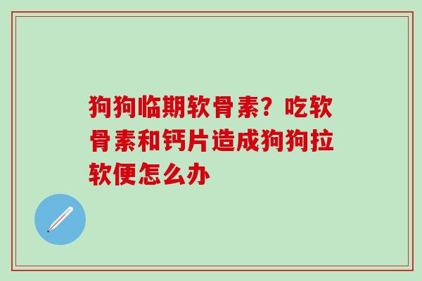 狗狗临期软骨素？吃软骨素和钙片造成狗狗拉软便怎么办