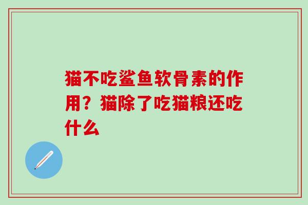 猫不吃鲨鱼软骨素的作用？猫除了吃猫粮还吃什么