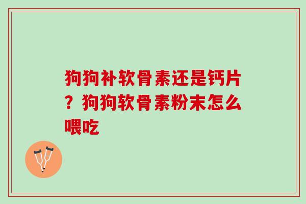 狗狗补软骨素还是钙片？狗狗软骨素粉末怎么喂吃