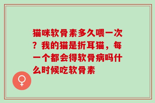 猫咪软骨素多久喂一次？我的猫是折耳猫，每一个都会得软骨吗什么时候吃软骨素
