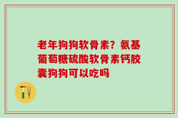 老年狗狗软骨素？氨基葡萄糖硫酸软骨素钙胶囊狗狗可以吃吗