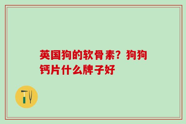 英国狗的软骨素?狗狗钙片什么牌子好 英国狗的软骨素?狗狗钙片什么牌子好