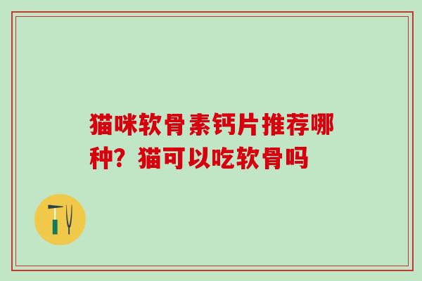 猫咪软骨素钙片推荐哪种？猫可以吃软骨吗