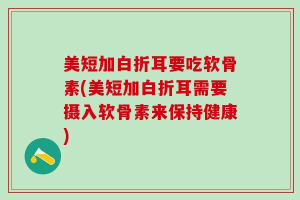 美短加白折耳要吃软骨素(美短加白折耳需要摄入软骨素来保持健康)