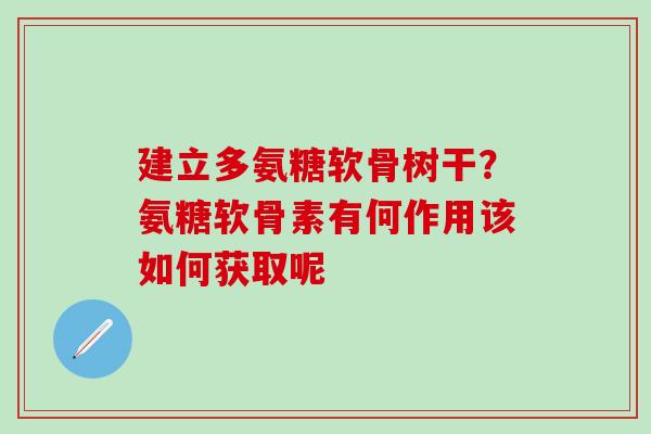 建立多氨糖软骨树干?氨糖软骨素有何作用该如何获取呢 建立多氨糖软骨树干?氨糖软骨素有何作用该如何获取呢