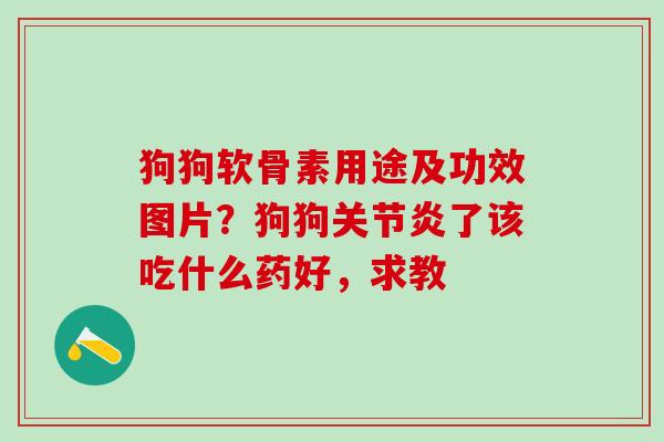 狗狗软骨素用途及功效图片？狗狗关节炎了该吃什么药好，求教