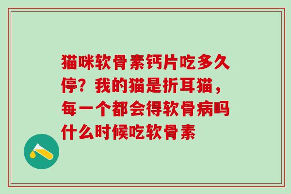 猫咪软骨素钙片吃多久停？我的猫是折耳猫，每一个都会得软骨病吗什么时候吃软骨素