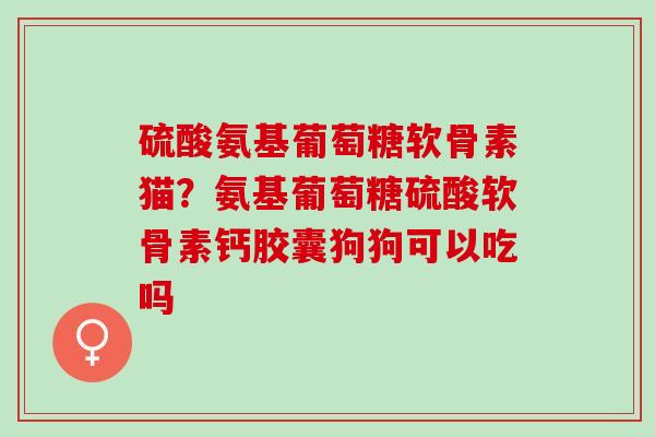 硫酸氨基葡萄糖软骨素猫？氨基葡萄糖硫酸软骨素钙胶囊狗狗可以吃吗