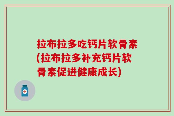 拉布拉多吃钙片软骨素(拉布拉多补充钙片软骨素促进健康成长)