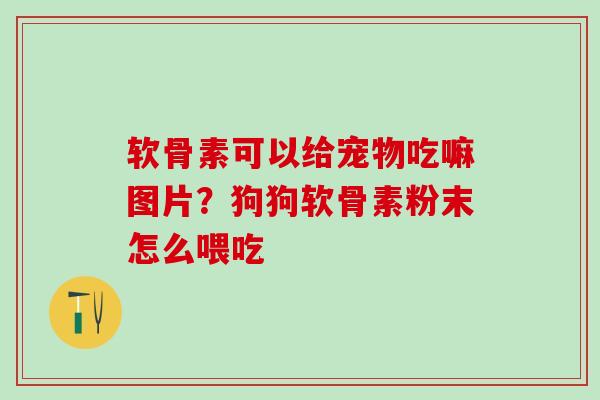 软骨素可以给宠物吃嘛图片？狗狗软骨素粉末怎么喂吃