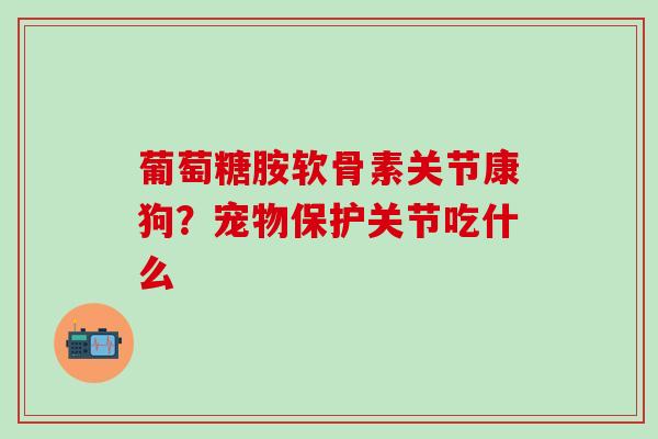 葡萄糖胺软骨素关节康狗？宠物保护关节吃什么