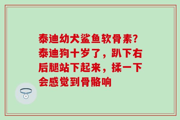泰迪幼犬鲨鱼软骨素？泰迪狗十岁了，趴下右后腿站下起来，揉一下会感觉到骨骼响