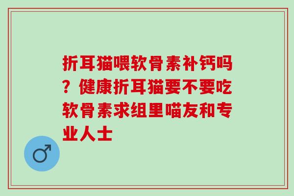 折耳猫喂软骨素补钙吗？健康折耳猫要不要吃软骨素求组里喵友和专业人士