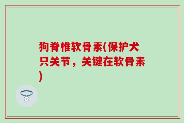 狗脊椎软骨素(保护犬只关节，关键在软骨素)