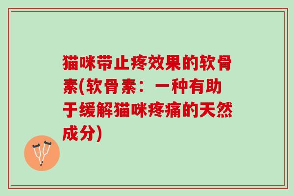 猫咪带止疼效果的软骨素(软骨素：一种有助于缓解猫咪疼痛的天然成分)