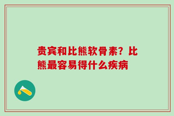 贵宾和比熊软骨素?比熊容易得什么 贵宾和比熊软骨素?比熊容易得什么