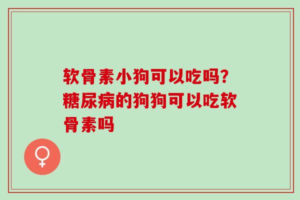 软骨素小狗可以吃吗？糖尿病的狗狗可以吃软骨素吗