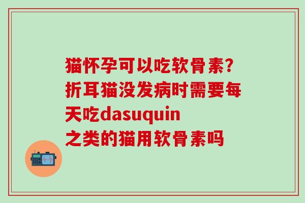 猫怀孕可以吃软骨素？折耳猫没发病时需要每天吃dasuquin之类的猫用软骨素吗