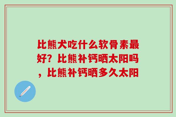 比熊犬吃什么软骨素好?比熊补钙晒太阳吗,比熊补钙晒多久太阳 比熊犬吃什么软骨素好?比熊补钙晒太阳吗,比熊补钙晒多久太阳