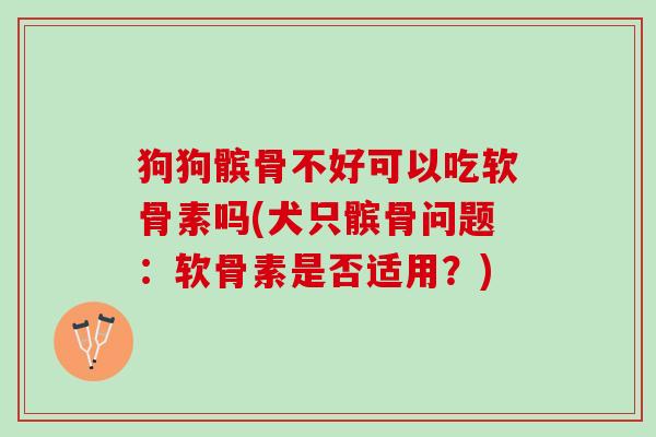 狗狗髌骨不好可以吃软骨素吗(犬只髌骨问题：软骨素是否适用？)