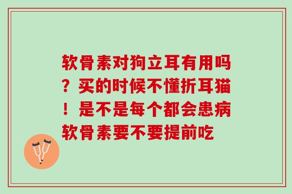 软骨素对狗立耳有用吗？买的时候不懂折耳猫！是不是每个都会患病软骨素要不要提前吃