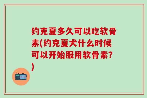 约克夏多久可以吃软骨素(约克夏犬什么时候可以开始服用软骨素？)