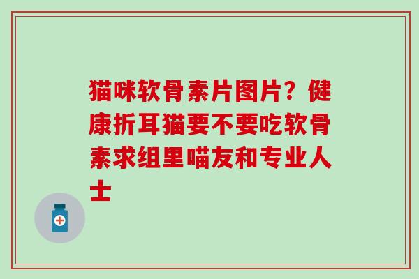 猫咪软骨素片图片？健康折耳猫要不要吃软骨素求组里喵友和专业人士
