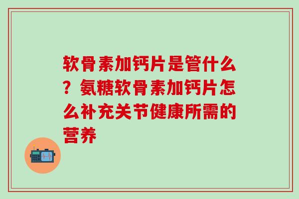 软骨素加钙片是管什么？氨糖软骨素加钙片怎么补充关节健康所需的营养