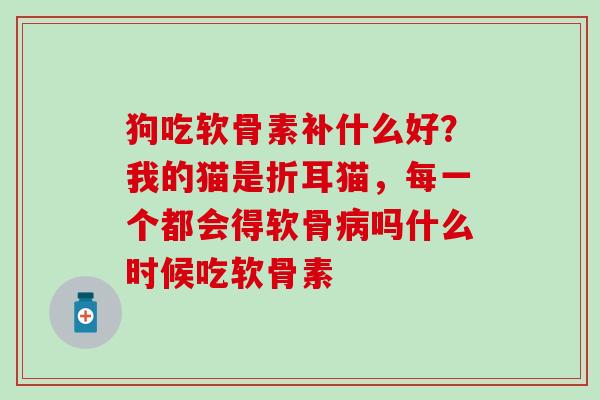 狗吃软骨素补什么好？我的猫是折耳猫，每一个都会得软骨病吗什么时候吃软骨素
