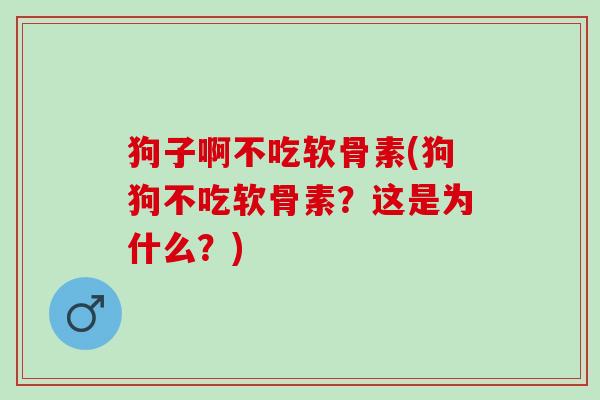 狗子啊不吃软骨素(狗狗不吃软骨素？这是为什么？)