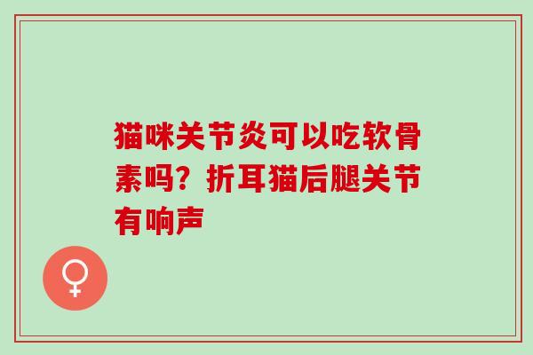 猫咪关节炎可以吃软骨素吗？折耳猫后腿关节有响声