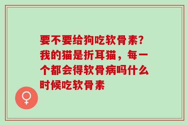 要不要给狗吃软骨素？我的猫是折耳猫，每一个都会得软骨病吗什么时候吃软骨素