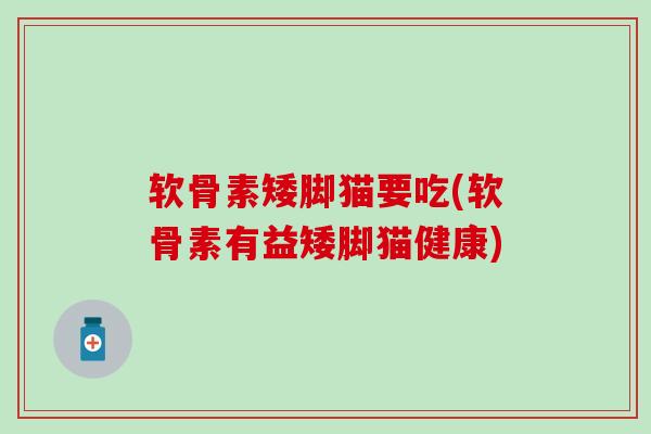软骨素矮脚猫要吃(软骨素有益矮脚猫健康)