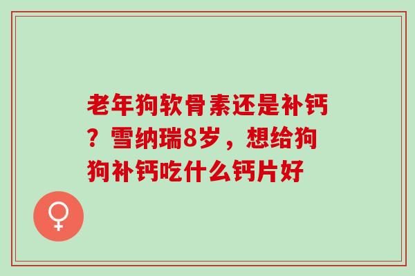 老年狗软骨素还是补钙？雪纳瑞8岁，想给狗狗补钙吃什么钙片好