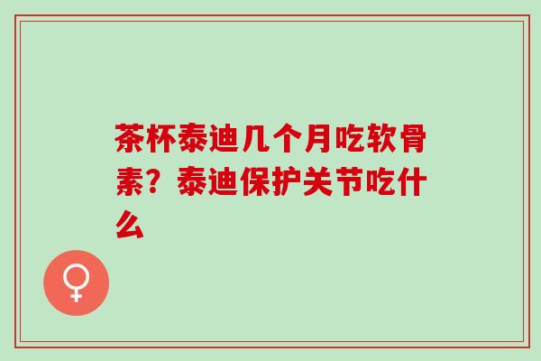 茶杯泰迪几个月吃软骨素？泰迪保护关节吃什么