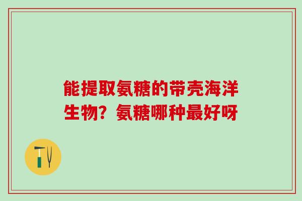 能提取氨糖的带壳海洋生物？氨糖哪种最好呀