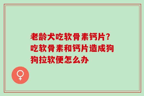 老龄犬吃软骨素钙片？吃软骨素和钙片造成狗狗拉软便怎么办